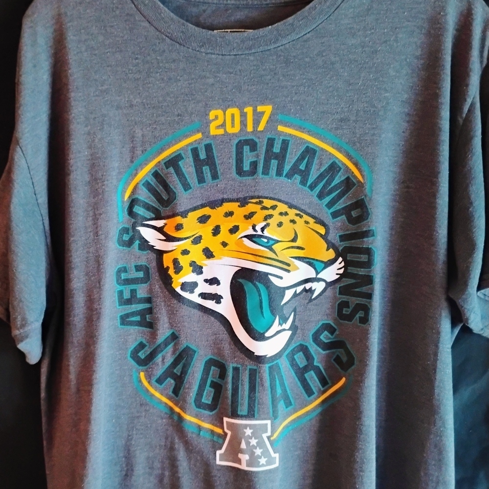 Jaguars AFC South Champions Gray T-Shirt